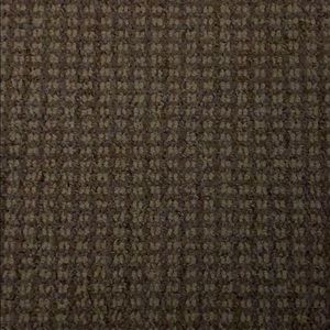 Meet your Posher, Shane